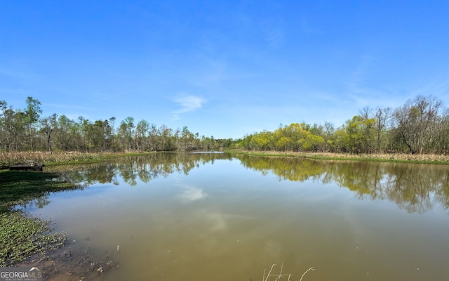 532 Henry Higgins Rd, Jackson, GA 30233 - water view featuring a forest