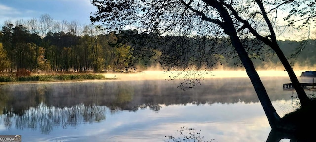 532 Henry Higgins Rd, Jackson, GA 30233 - water view with a forest