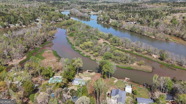 532 Henry Higgins Rd, Jackson, GA 30233 - view of property location with a forest and a large body of water