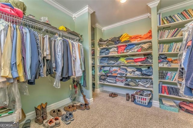 300 Ellis Rd, Rome, GA 30161 - walk in closet featuring carpet
