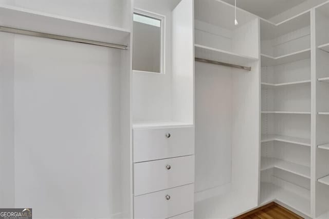 spacious closet with wood finished floors