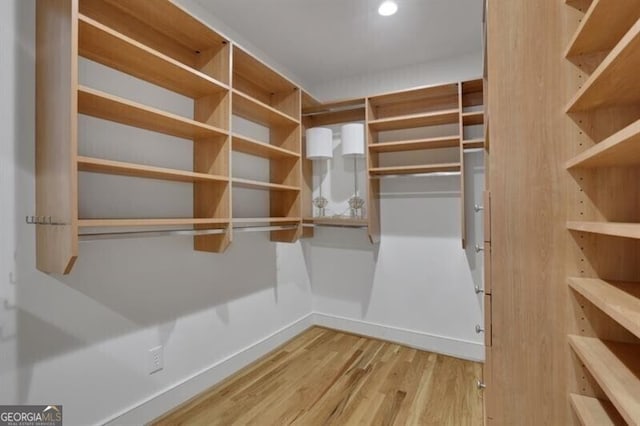 walk in closet featuring wood finished floors