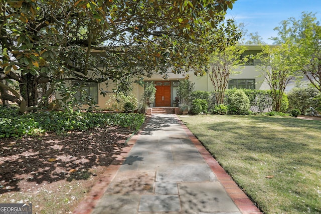 view of property hidden behind natural elements featuring a front yard and stucco siding