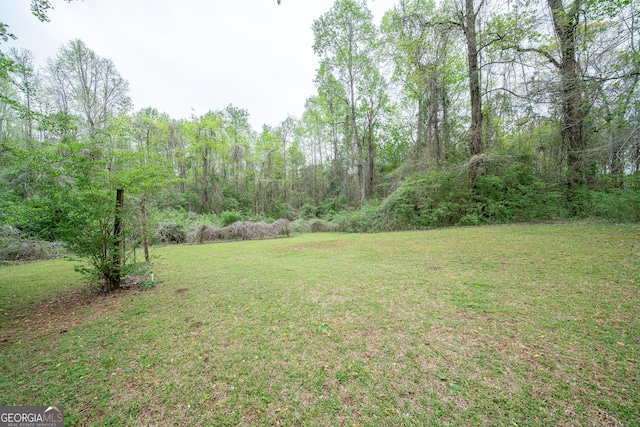 view of grassy yard