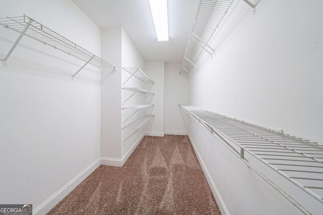 walk in closet featuring carpet flooring