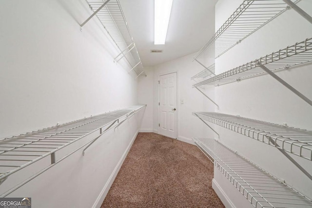 walk in closet with visible vents and carpet flooring