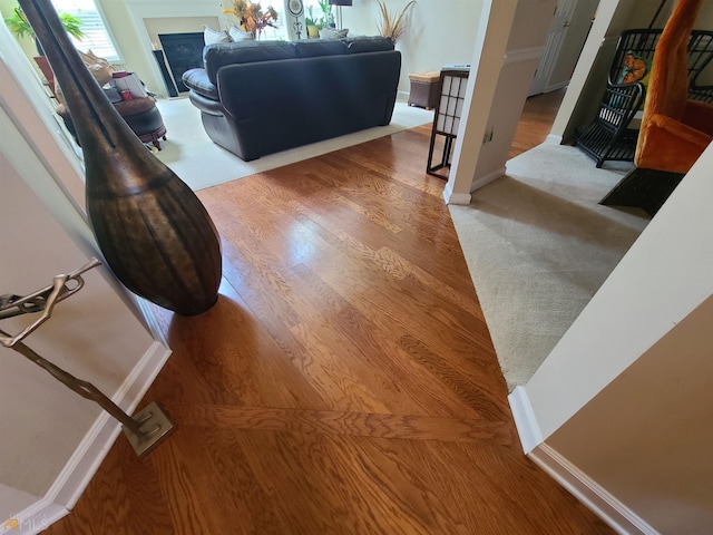 living area featuring baseboards and wood finished floors