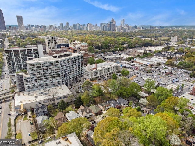 650 Somerset Ter NE, Atlanta, GA 30306 - bird's eye view of city skyline