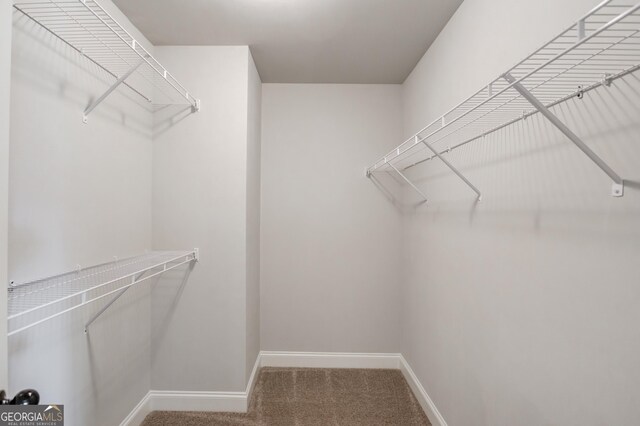 spacious closet with carpet flooring