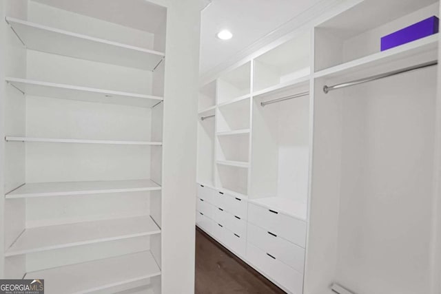 walk in closet featuring dark wood finished floors