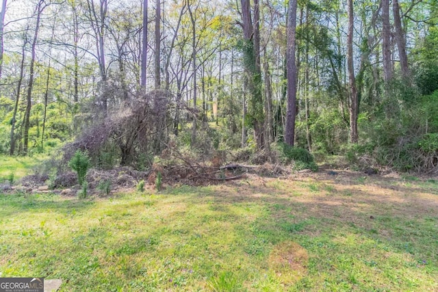view of yard with a forest view