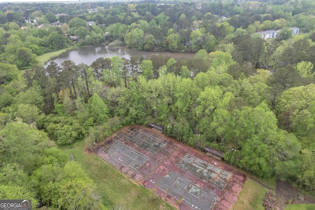 bird's eye view featuring a water view and a wooded view