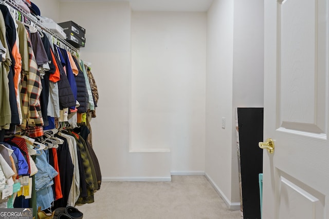 walk in closet with carpet floors