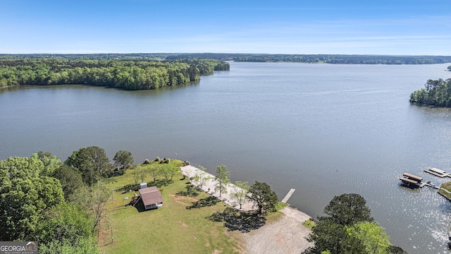 drone / aerial view with a forest view and a water view