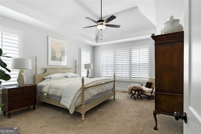 9 Grove Pointe Way, Cartersville, GA 30120 - bedroom featuring a tray ceiling, multiple windows, light colored carpet, and ceiling fan