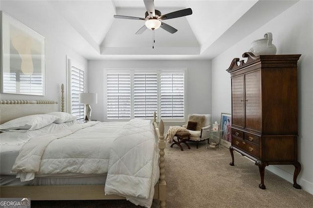 9 Grove Pointe Way, Cartersville, GA 30120 - carpeted bedroom with a tray ceiling, multiple windows, and ceiling fan