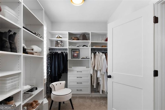 9 Grove Pointe Way, Cartersville, GA 30120 - spacious closet featuring carpet