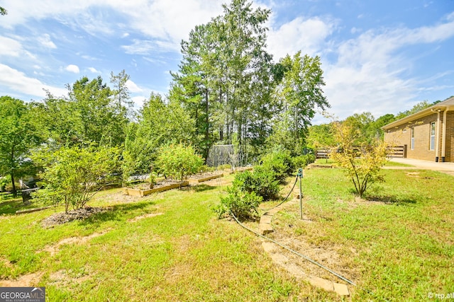412 Trilium Trl, Pendergrass, GA 30567 - view of green lawn featuring a vegetable garden