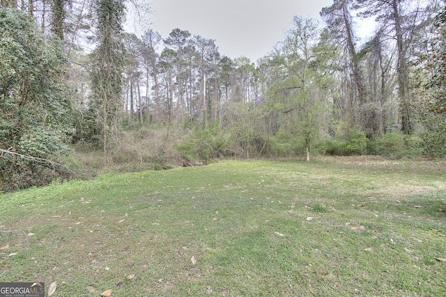 view of yard featuring a wooded view