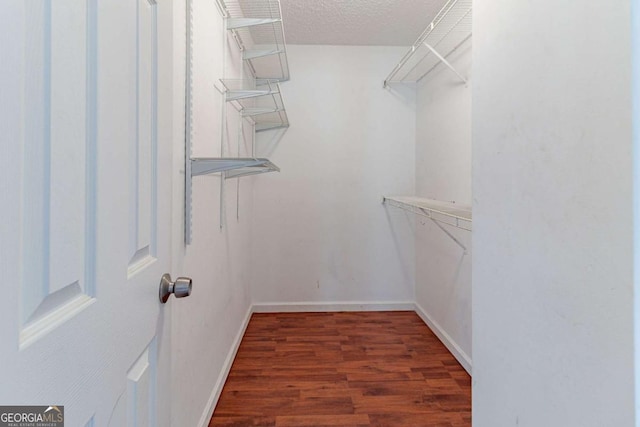 spacious closet featuring wood finished floors