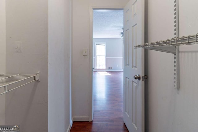 walk in closet with visible vents and dark wood finished floors