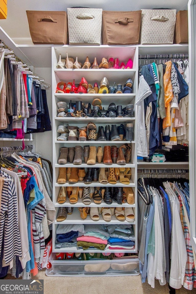 spacious closet with carpet