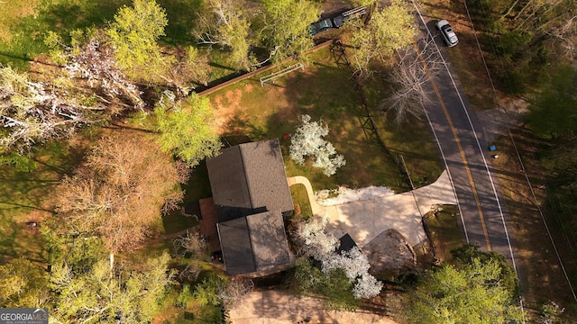 bird's eye view