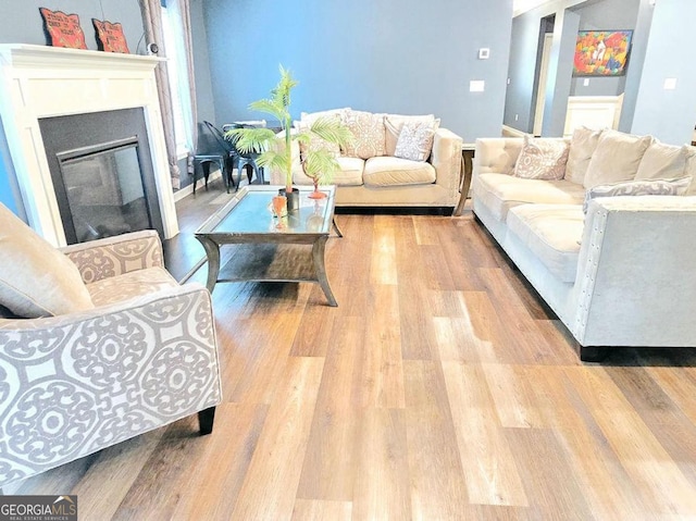 113 Citadel Dr, Hampton, GA 30228 - living room with wood finished floors and a glass covered fireplace