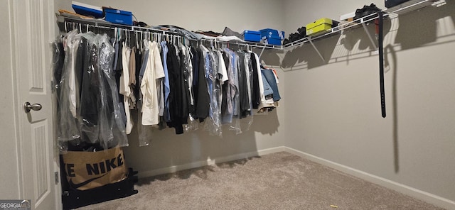 113 Citadel Dr, Hampton, GA 30228 - spacious closet featuring carpet flooring