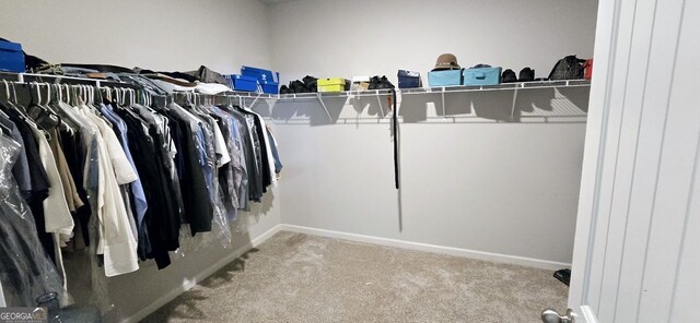 113 Citadel Dr, Hampton, GA 30228 - spacious closet featuring carpet floors