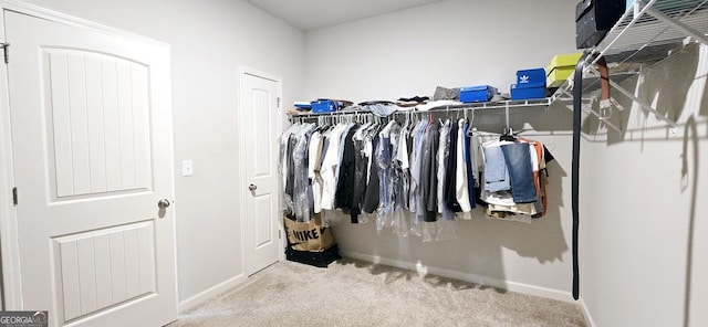 113 Citadel Dr, Hampton, GA 30228 - walk in closet featuring carpet flooring