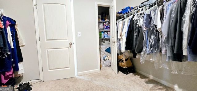 113 Citadel Dr, Hampton, GA 30228 - walk in closet featuring carpet floors