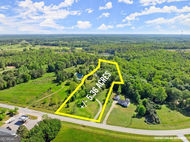 5198 Holly Springs Rd, Pendergrass, GA 30567 - drone / aerial view with a forest view
