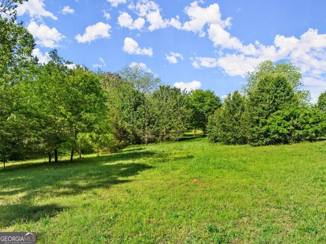 5198 Holly Springs Rd, Pendergrass, GA 30567 - view of yard