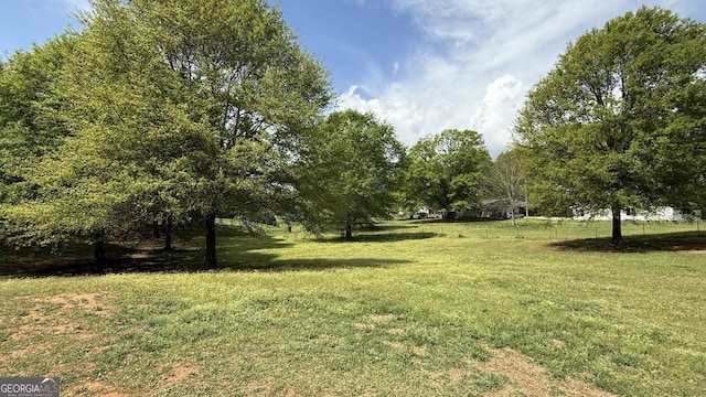 4529 Jersey Covington Rd, Covington, GA 30014 - view of green lawn