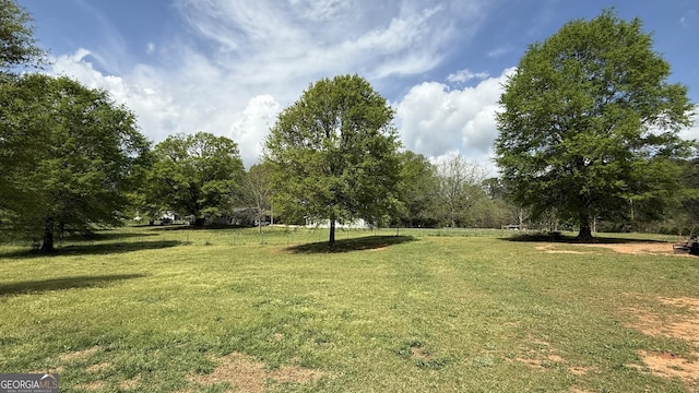 4529 Jersey Covington Rd, Covington, GA 30014 - surrounding community with a lawn and view of scattered trees