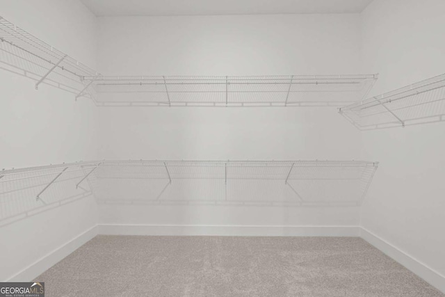 spacious closet featuring light carpet