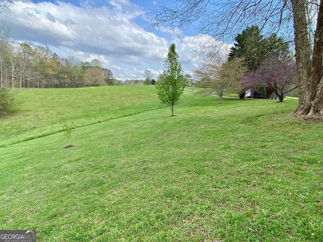 2210 Holly Springs Rd, Rockmart, GA 30153 - view of green lawn