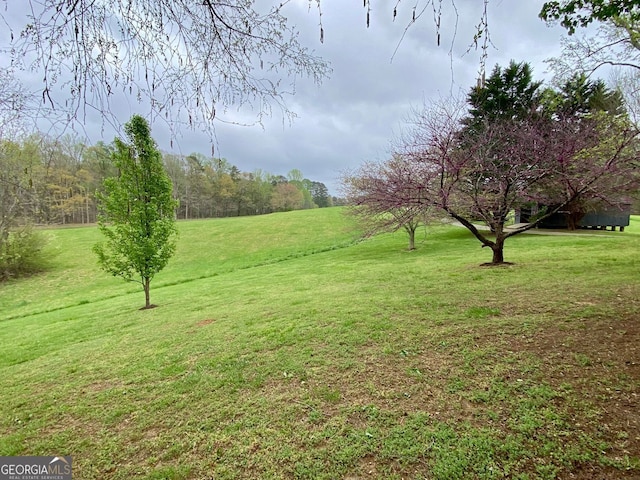 2210 Holly Springs Rd, Rockmart, GA 30153 - view of grassy yard