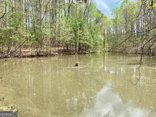 2210 Holly Springs Rd, Rockmart, GA 30153 - water view