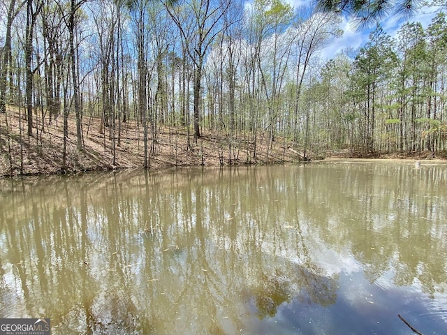 2210 Holly Springs Rd, Rockmart, GA 30153 - water view