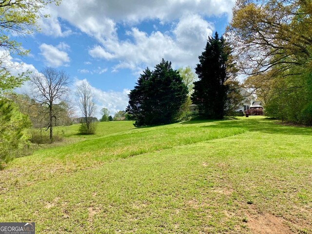 2210 Holly Springs Rd, Rockmart, GA 30153 - view of green lawn