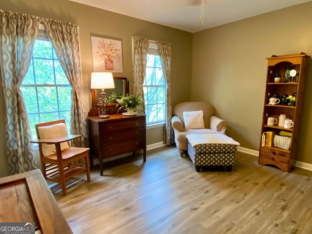 2210 Holly Springs Rd, Rockmart, GA 30153 - living area with plenty of natural light and wood finished floors