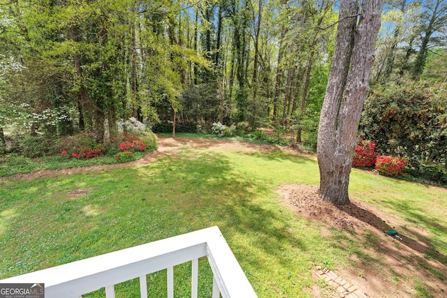view of yard