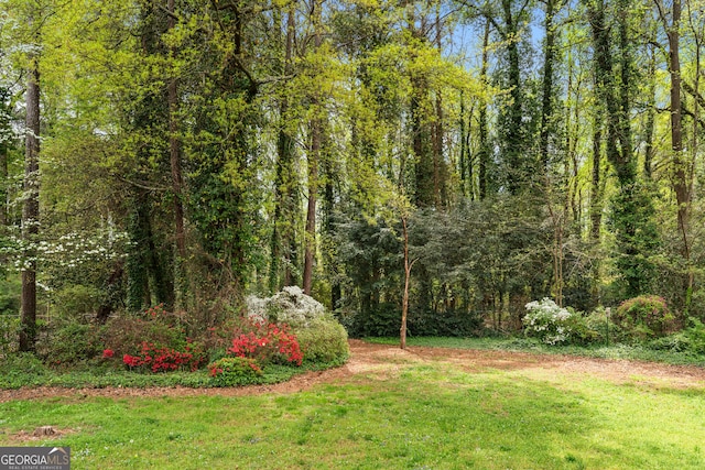 view of yard featuring a view of trees