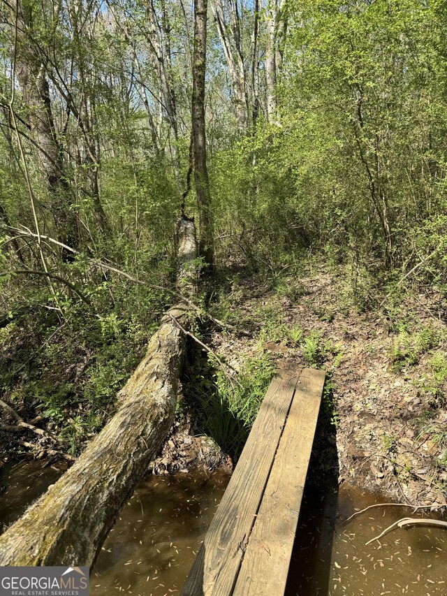 0 Brittain Rd, Douglasville, GA 30134