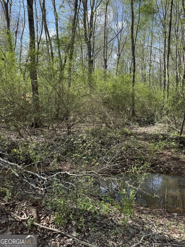 0 Brittain Rd, Douglasville, GA 30134