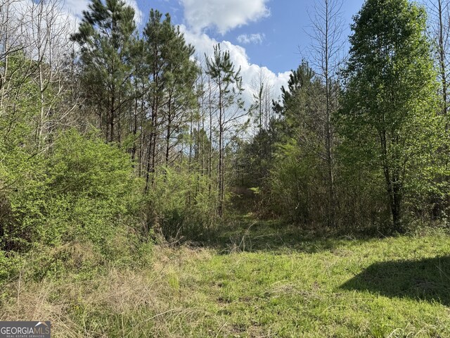 0 Brittain Rd, Douglasville, GA 30134