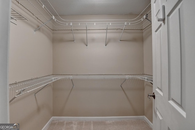 spacious closet with carpet flooring