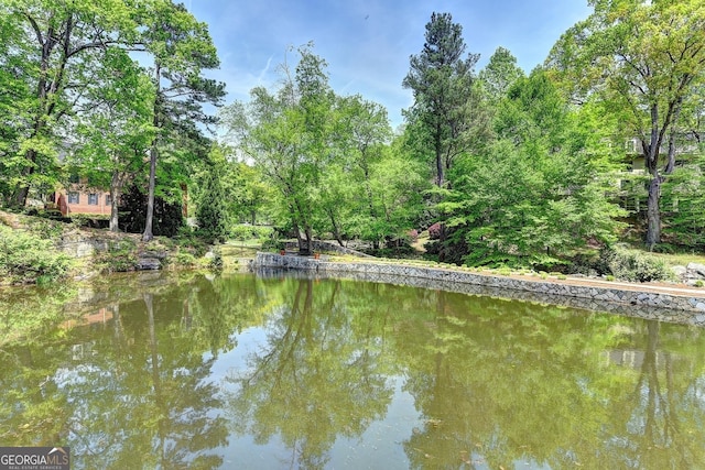 view of water feature